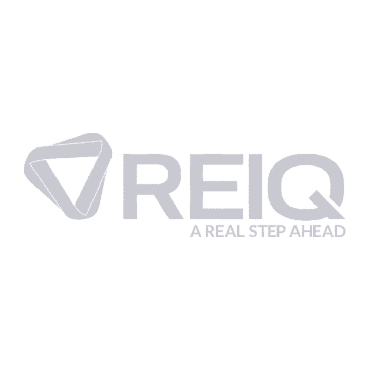 REIQ_01.png